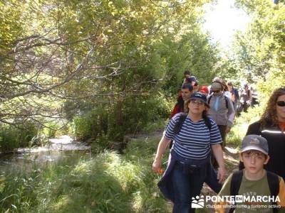 Laguna de SomolinosMonumento Natural de la Sierra de la Pela y Laguna de Somolinos; beneficios del s